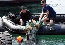 해군 1함대, 정라진항 수중정화…민·관도 참여