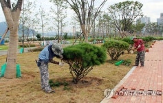 조경작업 한창인 세종시 금강수변공원