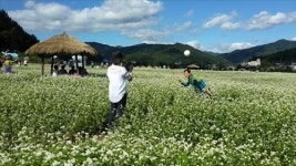 효석문화제 속으로 떠나는 마음 여행
