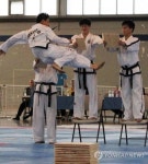 남북 태권도시범단, 올 가을 평양-무주 상호 방문 추진