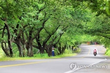 소설 ‘토지’와 ‘역마’의 하동.