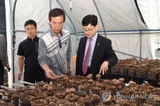 표고버섯 재배 단지 찾은 신원섭 산림청장