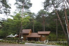 <여행사진> 나를 꾸는 금강소나무… 영양 숲속 도서관