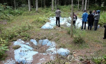 <70년만의 귀향> 조선인 강제노동 희생자들이 묻혀 있던 공동묘지