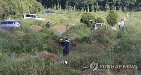 벌초합니다