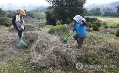 추석 맞아 묘지 정리