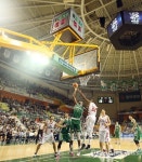 프로농구 시즌 개막…동부 홈경기 개막전