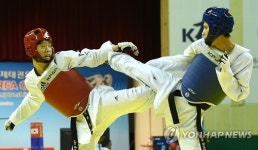 국방부장관기 태권도대회 14∼21일 태백서 개최