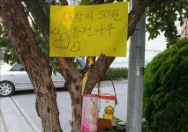감동 전한 홍성 50원 동전 나무…저금통 2개로 늘어