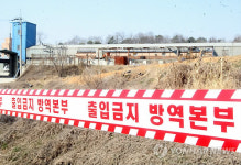 경북축산기술硏 직원 등 농장 한우도 구제역에 노출
