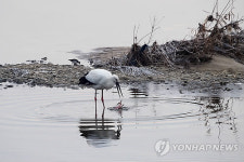 청주 젖줄 미호천 수질 향상 옥산 하수처리장 준공