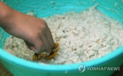 추석 제주는 내 손으로