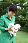 朴대통령 靑 강아지 이름, 평화·통일·금강·한라·백두