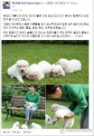 朴대통령 靑 강아지 이름, 평화·통일·금강·한라·백두