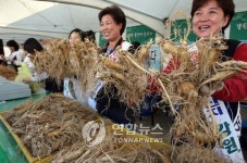 홍천 인삼·한우축제 내달 7일 개막