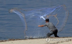 투망으로 전어 잡는 어민