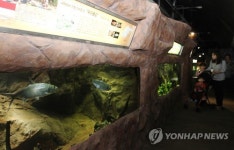 대전아쿠아리움 재개장