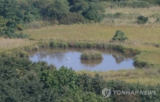 평화전망대에서 바라본 철원 비무장지대