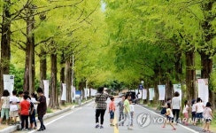 나무에 편지 글 걸어둔 대전현충원
