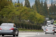 녹지형 창원대로 중앙분리대