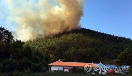 태안 연포해변서 산불