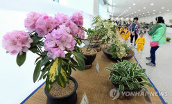 산림청 대전무역전시관서 우리꽃 야생화 전시회