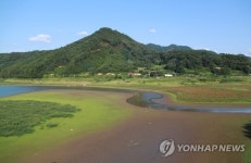 계곡물까지 말랐다…충북 가뭄 피해 심각(종합)