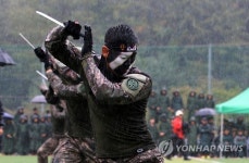 빗속의 특공무술