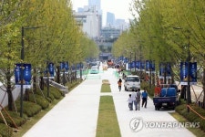녹지로 변신한 연세대 백양로