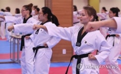 세종학당 연수생들의 태권도 체험