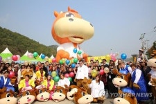 횡성한우축제 놀러오세요