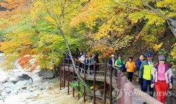 완연한 가을…경남 곳곳 축제장·유명산 행락인파