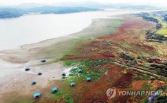 반토막 난 예당저수지