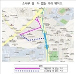 서울 명륜동 소나무길 24일부터 주말 차없는 거리