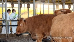 이동필 농식품장관, 축사 소독
