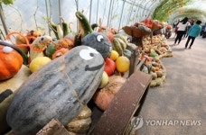 <주말 N 여행> 호남권: 조롱박 터널서 찰칵…나주 국제농업박람회