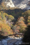 가을빛 품어안은 금강산…알록달록 오색 단풍으로 물들다