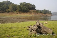 바닥 드러낸 대청호 상류
