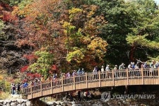 만산홍엽…깊어가는 가을