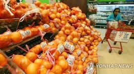 농산물 가격 작년보다 등락 폭 커…양파 2.6배↑