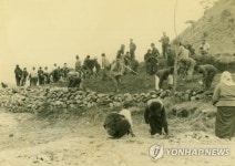 1963년 토곡 농로 개통