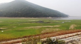 녹지처럼 보이는 저수지