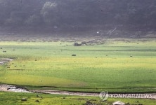 녹지처럼 보이는 저수지