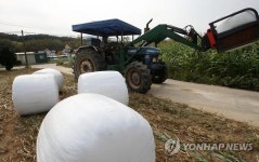 겨울 채비하는 축산농민