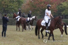 일산 호수공원서 열린 코리아 승마 페스티벌