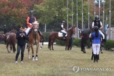 일산 호수공원서 열린 코리아 승마 페스티벌