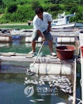 전국 수산생물 질병 파수꾼 부산에 모인다