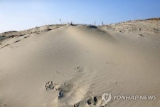 태안 신두사구의 모습