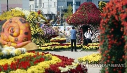 미리 보는 창원 가고파국화축제