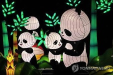 11월 주요 축제들…가을과 겨울의 징검다리
